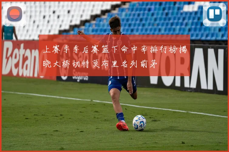 上赛季季后赛篮下命中率排行榜揭晓大桥切特莫布里名列前茅